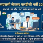 SSC JSA LDC Vacancy 2026: 12वीं पास युवाओं के लिए बड़ी खुशखबरी, जानें योग्यता, चयन प्रक्रिया और आवेदन की पूरी जानकारी
